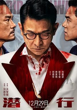 蝙蝠侠：黑暗骑士归来(下)