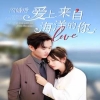 迷失  第二季