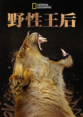列宁格勒牛仔征美记