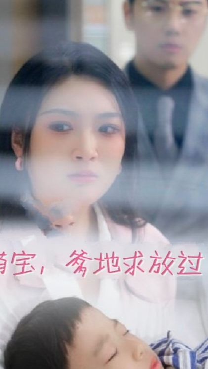 黑盾武士