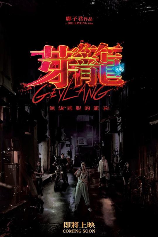 魔幻仙踪