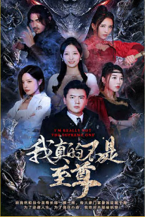 东北合伙人