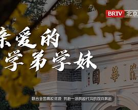 卧底肥妈2