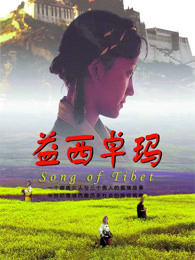 邻家新男孩