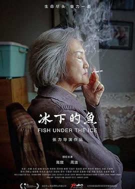 你是我的荣耀