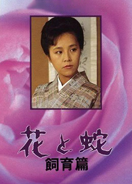 和甲方的甜蜜番外
