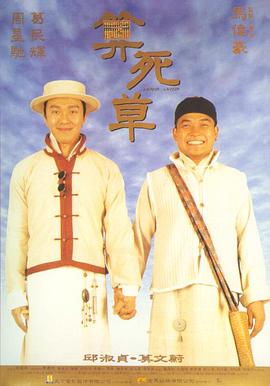 归途望乡