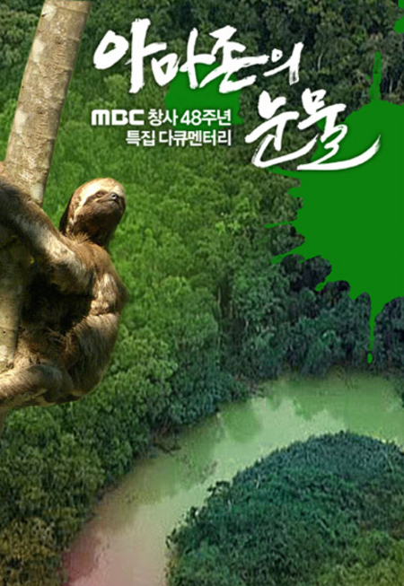 樱桃树巷