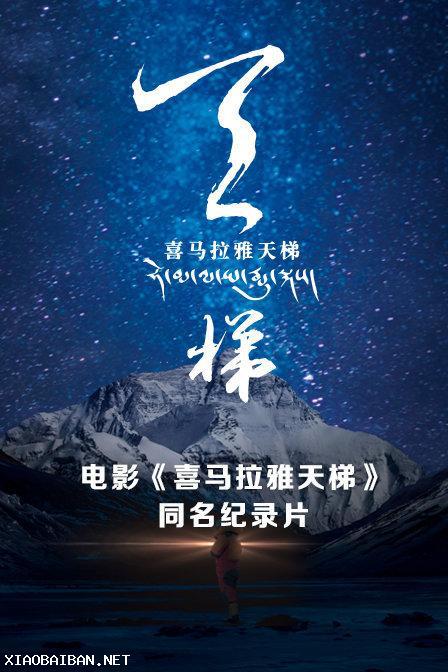 婚头转向