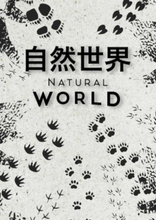 人生遥控器国语