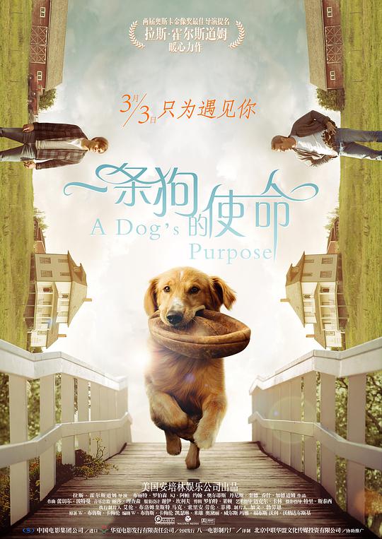 肖塔