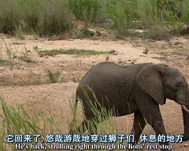 乐队的夏天 第二季