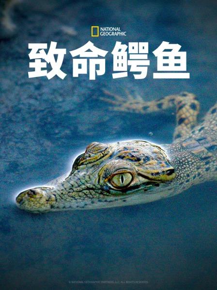 泰坦第四季