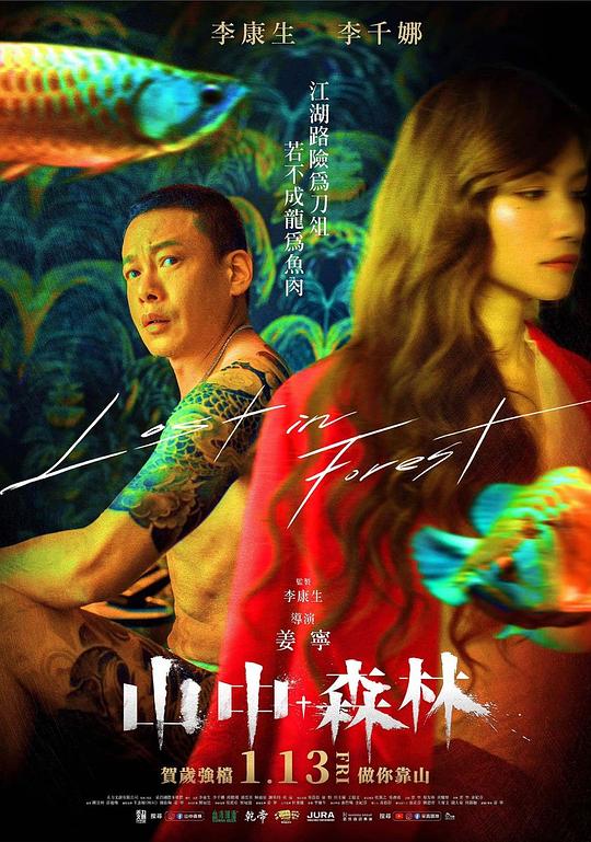 蒂尼·维奥莱塔的新生活
