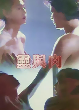 铁甲衣2：浴血奋战