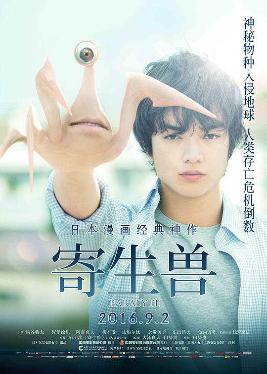 红色枫叶