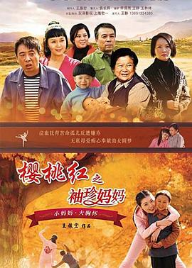 记我的母亲 2012