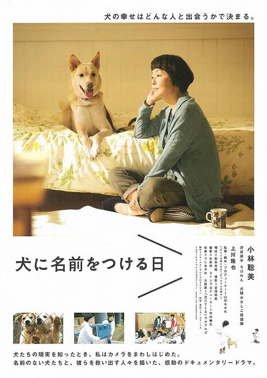 赛车狂人2