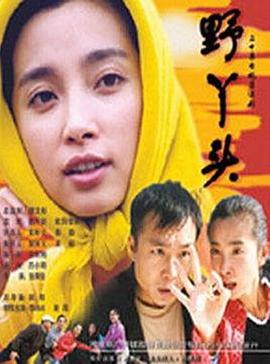 迷途追凶者