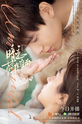 我为喜剧狂   第四季