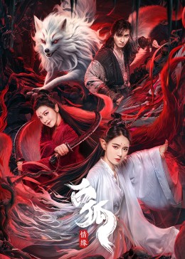 重力与我：塑造我们生活的力量