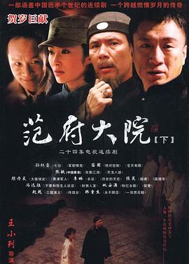 名侦探柯南：纯黑的恶梦（日语版）