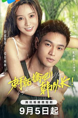 隋唐英雄传