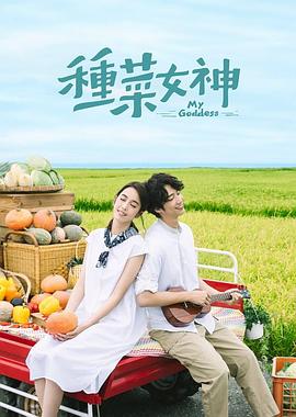 科技的族谱