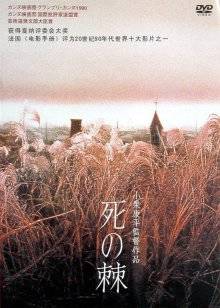 凯斯·哈林：街头艺术男孩