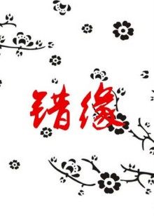 顶级经纪人