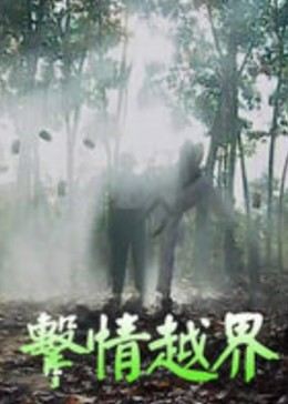 赵先生