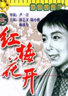 阴阳先生之末代天师