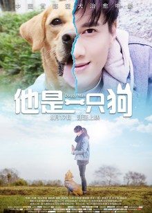 最好的我们2019