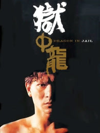 明星伙伴第四季