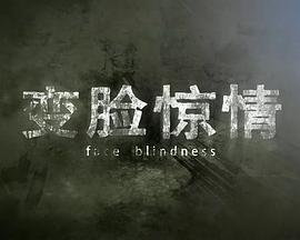 无限斯特拉托斯2：一夏的思绪