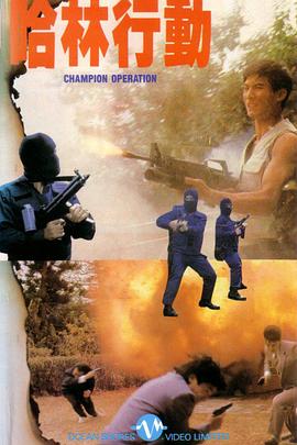 霍元甲2006