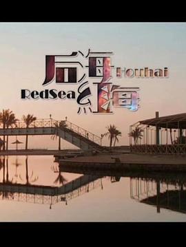 天天有喜在线观看