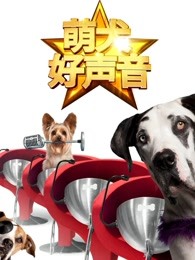 犯罪现场调查 第九季