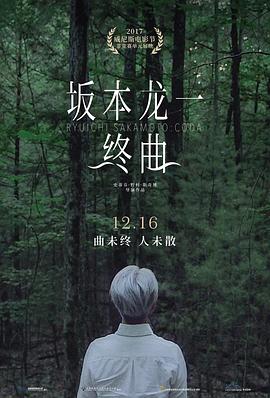 大象"回声"的回忆