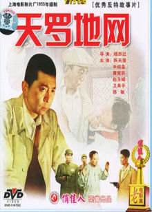 乌龟也会飞