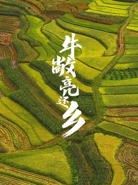 错误指控