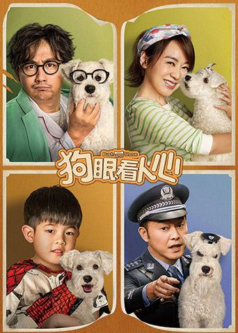 寻访千利休