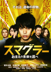 南风2014