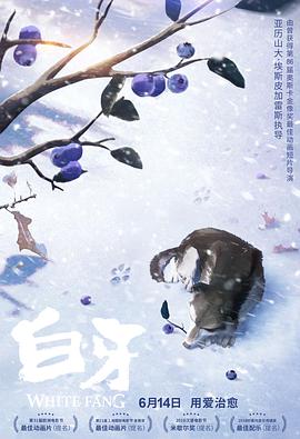 哈桑·明哈杰：国王的小丑