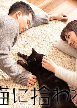 吉尔莫女孩第三季