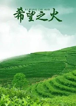 一键倾心