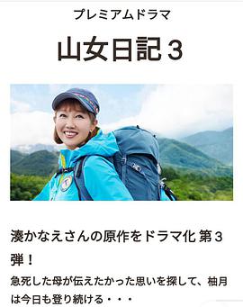 诈欺特工