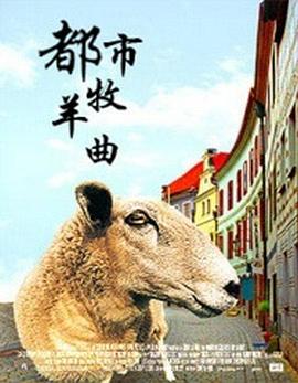 塞加拉陵墓揭秘