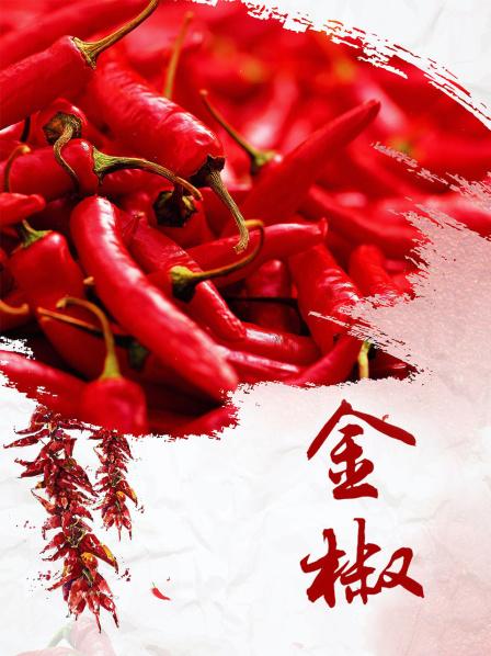 先生贵性  粤语