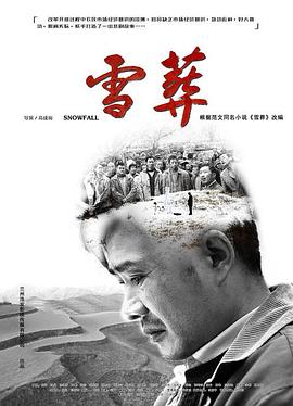 铁翼惊情国语